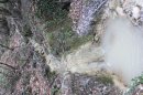 Rare torrent